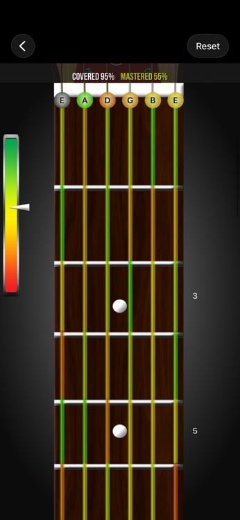 Custom fretboard setup with instrument and tuning options